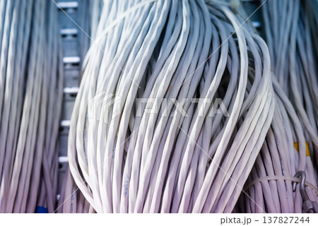 bunch of network cables in wave pattern leading across server ro 137827244