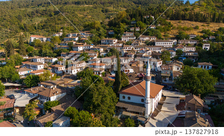 Aerial view of a traditional Turkish village with white houses, red roofs and a mosque surrounded by green hills. Scenic rural landscape and authentic architecture in Turkey. 137827918