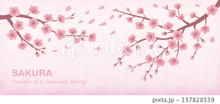 さくら_水彩バナー 137828559