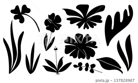 Silhouette Botanical Plants and Flowers Collection.Vector Illustration 137828987