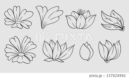 Flower Bud and Flowers Leaves Hand Drawn Line Collection.Vector Illustration 137828992