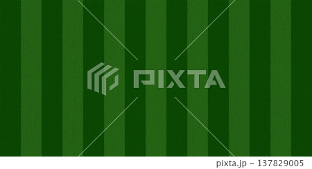Green Grass Soccer Top View Stadium Pitch Background Grass Tiff Pattern Realistic Sport Ground Texture for Football and Baseball Games.Vector Illustration Green Grass Soccer Top View Stadium Pitch Background Grass Tiff Pattern Realistic Sport Ground Texture for Football and Baseball Games.Vector Illustration 137829005