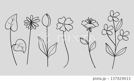 Botanical Wildflower and Minimalist Garden Plant Floral Line Art Hand Drawn Set.Vector Illustration 137829013
