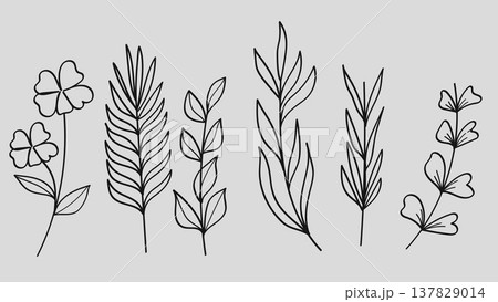 Botanical Leaves Hand Drawn Line Art Set Vintage Leaves Tropical Element collection 137829014