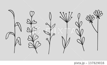 Botanical Wildflower and Minimalist Meadow Plant Floral Line Art Hand Drawn Set.Vector Illustration Botanical Wildflower and Minimalist Meadow Plant Floral Line Art Hand Drawn Set.Vector Illustration 137829016