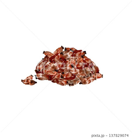 A bunch of individual dried oblong barberries or rose hips, hand-drawn in watercolor on an isolated background. Simple botanical clip art of the autumn harvest for design and decoration. 137829074