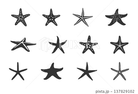 Starfish silhouette set, Starfish Svg, Starfish icon, Starfish clipart, Tropical starfish svg, Starfish vector bundle -V02. 137829102