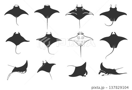 Manta ray silhouette set, Manta ray vector, Manta ray svg, Manta ray clipart, Manta ray drawing bundle -V02. Manta ray silhouette set, Manta ray vector, Manta ray svg, Manta ray clipart, Manta ray drawing bundle -V02. 137829104