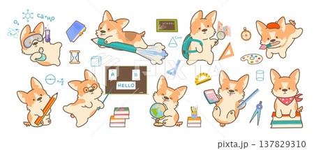 Cartoon funny puppy. Adorable corgi student, back to school stickers. Kawaii dog with pencil, books, globe. Cute puppies study, nowaday vector kit 137829310