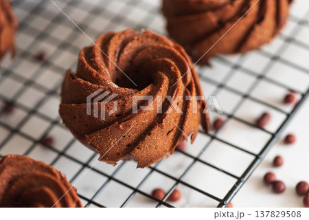 Mini chocolate bundt cakes on a cooling rack. Soft focus Mini chocolate bundt cakes on a cooling rack. Soft focus 137829508