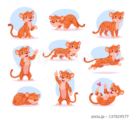 Jaguar. Tropical jungle animal in action poses wild leopard exact vector cartoon templates Jaguar. Tropical jungle animal in action poses wild leopard exact vector cartoon templates 137829577