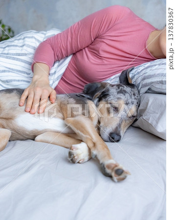 young woman sleeps with spotted dog on bed, girl and dog sleep comfortably together. young woman sleeps with spotted dog on bed, girl and dog sleep comfortably together. 137830367