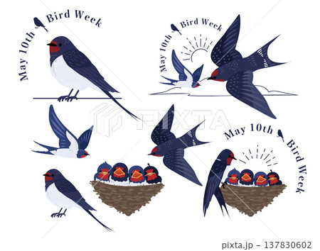 初夏のツバメのイラストセット：愛鳥週間のロゴと親子の燕 137830602