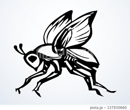 Vector drawing. Dogfly. One of the Plagues of Egypt. 137830660