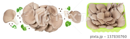 Oyster mushrooms isolated on white background with full depth of field Oyster mushrooms isolated on white background with full depth of field 137830760