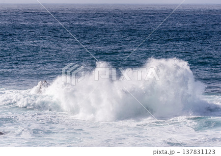 The Pacific Coast The Pacific Coast 137831123