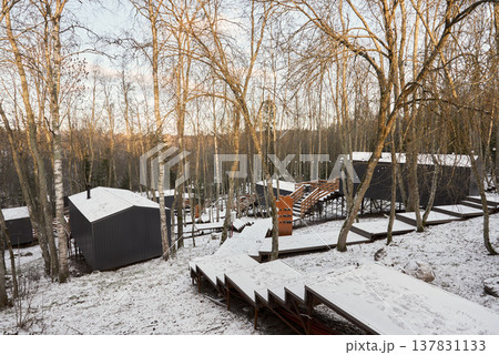 Secluded cabin group surrounded by birch trees on soft slope 137831133