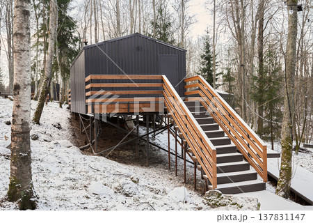 Snowcovered steps rise towards inviting cabin entrance amidst trees 137831147