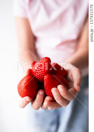Child holding fresh strawberries close up with white background Child holding fresh strawberries close up with white background 137831578