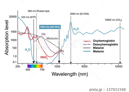 Laser Wavelength Absorption Spectrum of Skin Chromophores Diagram 137831598