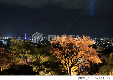 京都 二年坂 産寧坂 清水寺の夜桜風景 京都 二年坂 産寧坂 清水寺の夜桜風景 137831925