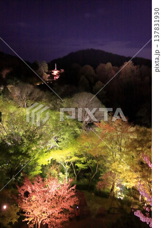 京都　二年坂　産寧坂　清水寺の夜桜風景 137831930