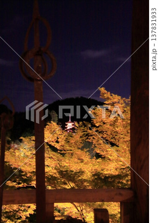 京都　二年坂　産寧坂　清水寺の夜桜風景 137831933