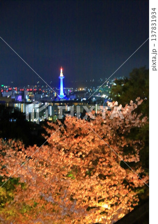 京都　二年坂　産寧坂　清水寺の夜桜風景 137831934