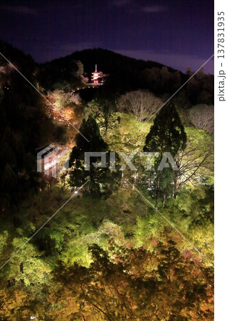 京都　二年坂　産寧坂　清水寺の夜桜風景 137831935