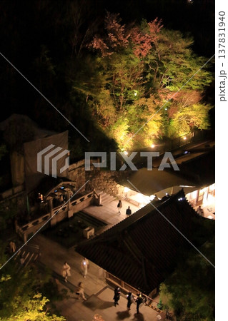 京都 二年坂 産寧坂 清水寺の夜桜風景 京都 二年坂 産寧坂 清水寺の夜桜風景 137831940