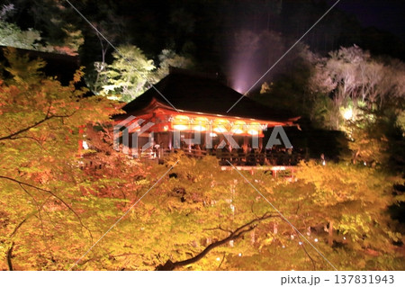 京都 二年坂 産寧坂 清水寺の夜桜風景 京都 二年坂 産寧坂 清水寺の夜桜風景 137831943
