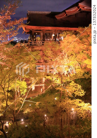 京都　二年坂　産寧坂　清水寺の夜桜風景 137832024