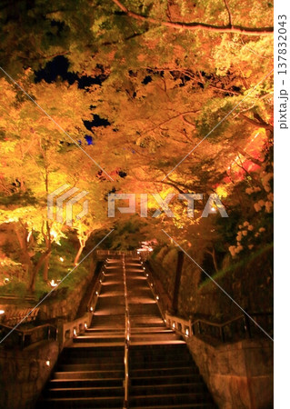京都 二年坂 産寧坂 清水寺の夜桜風景 京都 二年坂 産寧坂 清水寺の夜桜風景 137832043