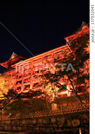 京都 二年坂 産寧坂 清水寺の夜桜風景 京都 二年坂 産寧坂 清水寺の夜桜風景 137832045