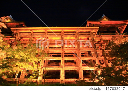 京都 二年坂 産寧坂 清水寺の夜桜風景 京都 二年坂 産寧坂 清水寺の夜桜風景 137832047