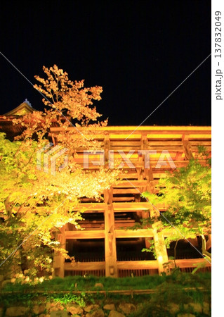 京都　二年坂　産寧坂　清水寺の夜桜風景 137832049