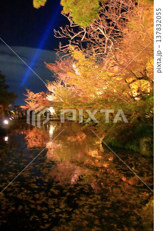 京都 二年坂 産寧坂 清水寺の夜桜風景 京都 二年坂 産寧坂 清水寺の夜桜風景 137832055