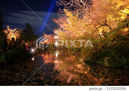 京都 二年坂 産寧坂 清水寺の夜桜風景 京都 二年坂 産寧坂 清水寺の夜桜風景 137832056
