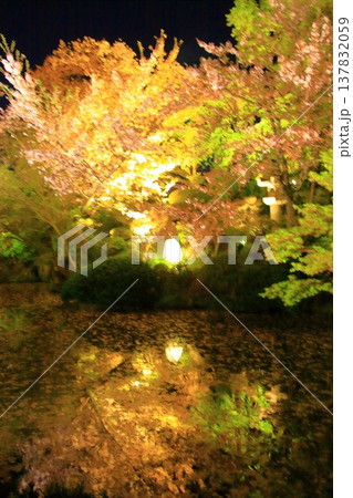 京都　二年坂　産寧坂　清水寺の夜桜風景 137832059