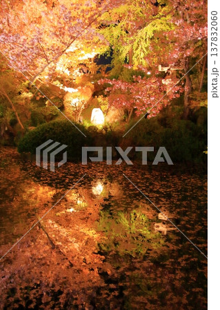 京都　二年坂　産寧坂　清水寺の夜桜風景 137832060