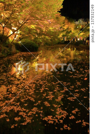 京都 二年坂 産寧坂 清水寺の夜桜風景 京都 二年坂 産寧坂 清水寺の夜桜風景 137832149