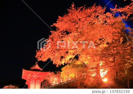 京都　二年坂　産寧坂　清水寺の夜桜風景 137832150