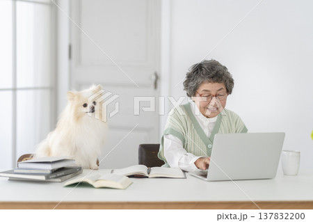 デスクワークをするシニア女性と愛犬 137832200