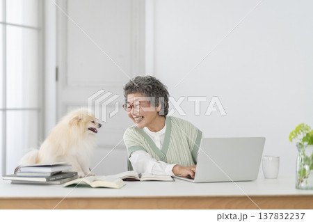 デスクワークをするシニア女性と愛犬 137832237