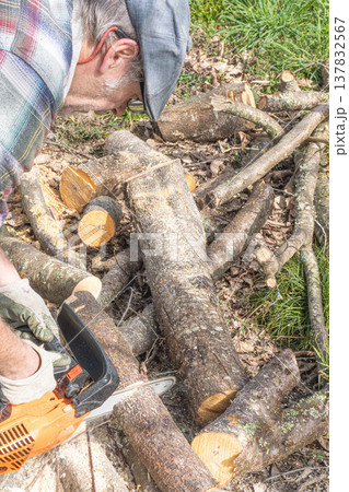 Chainsaw chopping wood 137832567