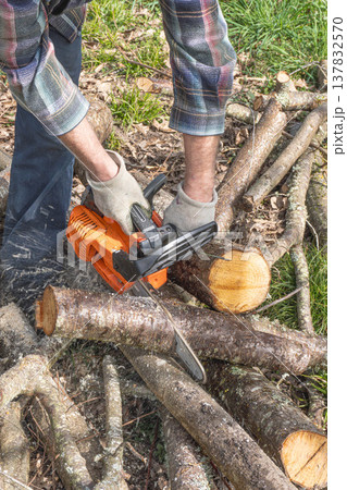 Chainsaw chopping wood Chainsaw chopping wood 137832570
