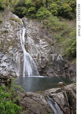 神戸　布引の滝と布引ハーブ園 137832598
