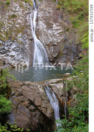 神戸　布引の滝と布引ハーブ園 137832599