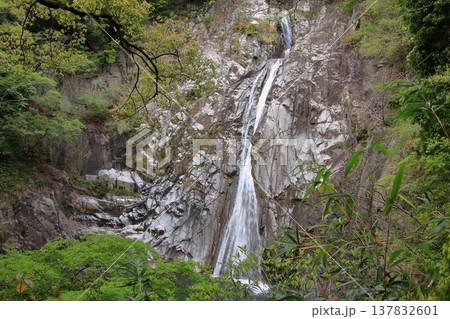 神戸　布引の滝と布引ハーブ園 137832601