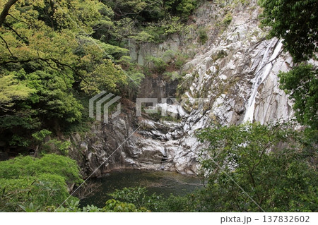 神戸　布引の滝と布引ハーブ園 137832602